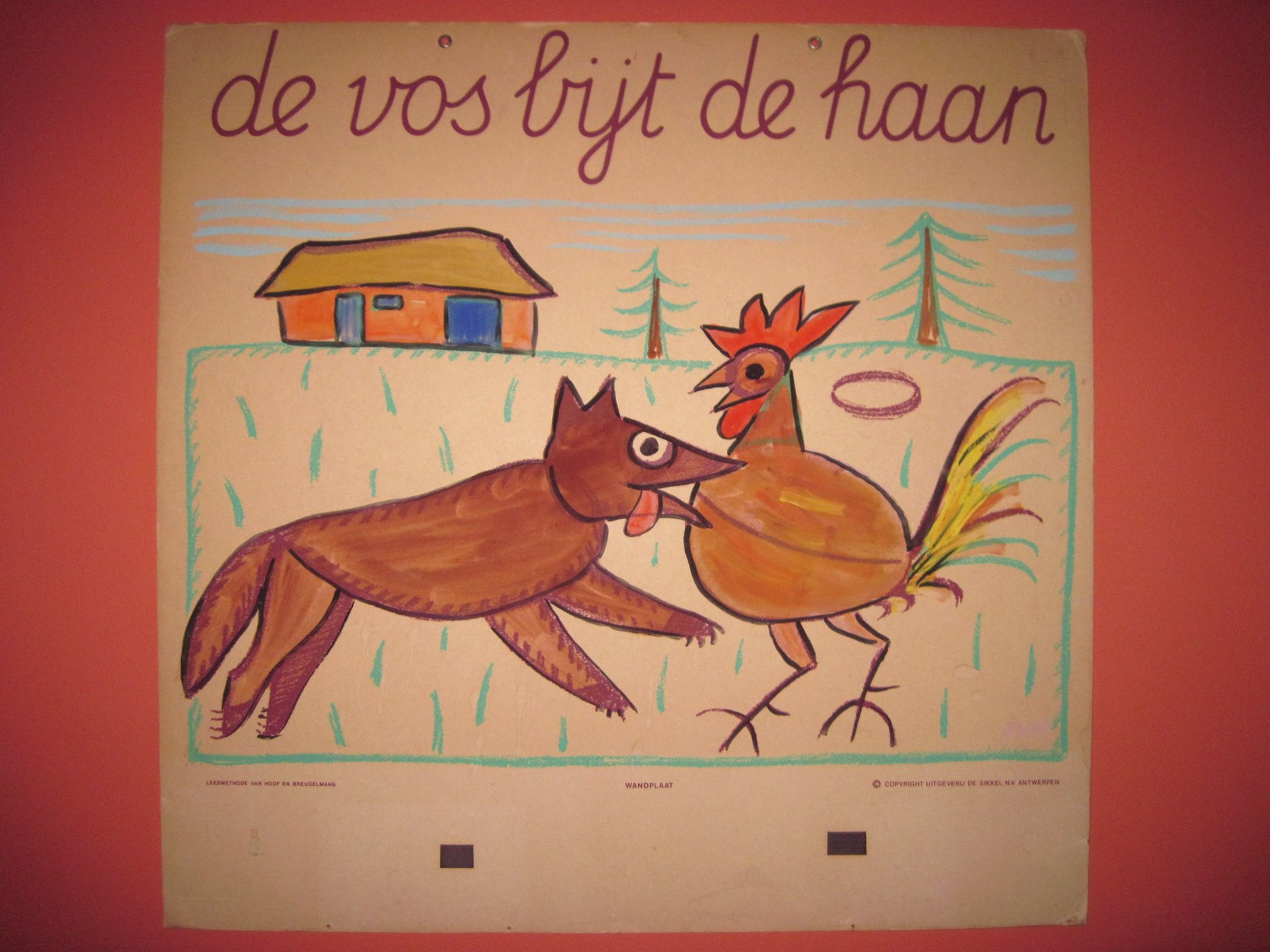 de vos bijt de haan