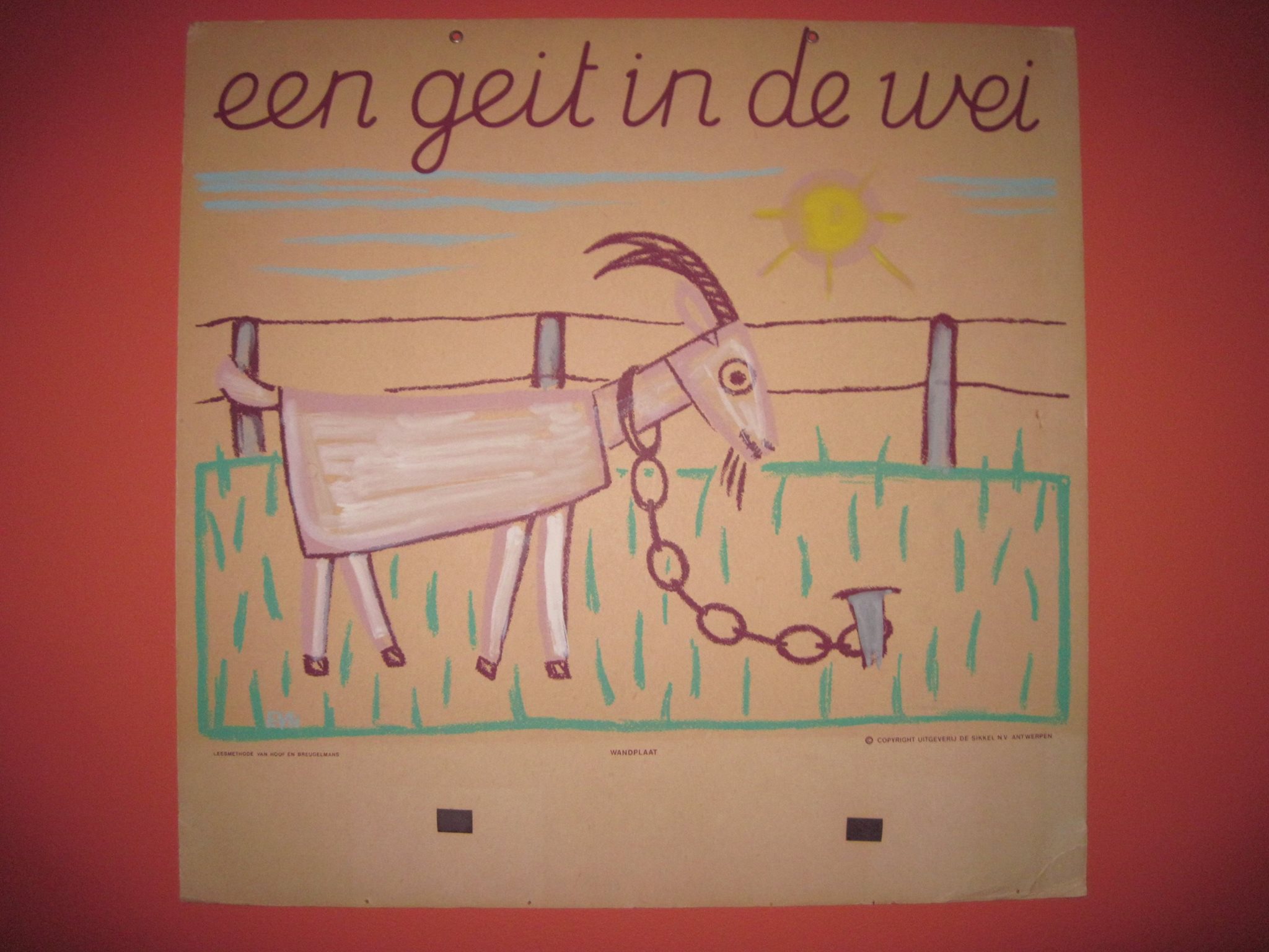 een geit in de wei